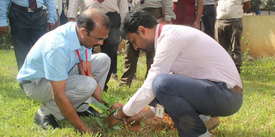 Plantation Drive - One Student One Tree - 2023