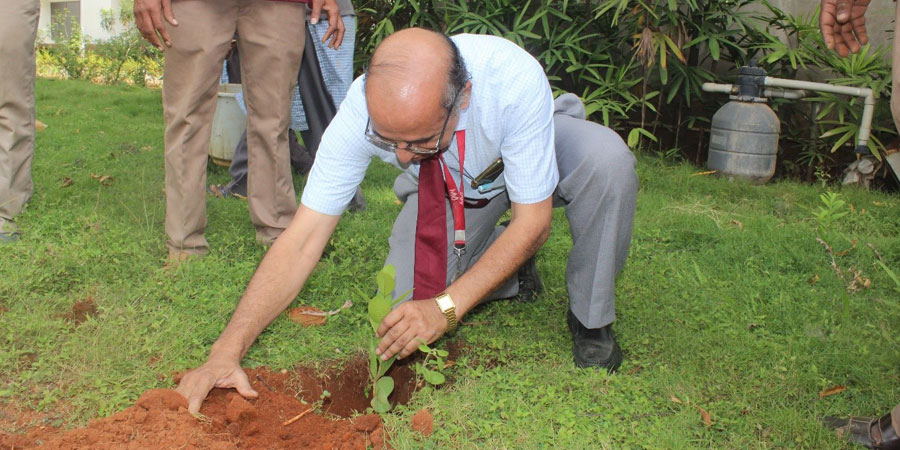 Plantation Drive - One Student One Tree - 2023